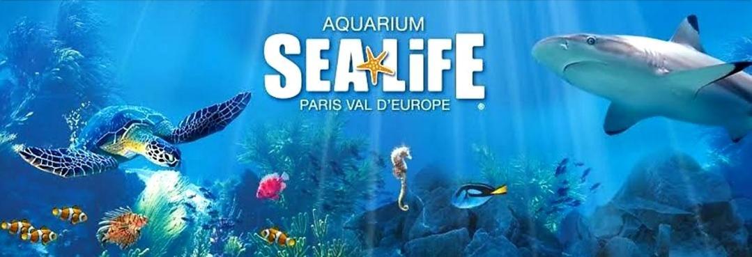 Appartement Spacieux Disneyland - La Vallee Village - 6 Personnes - 60M2 Saint-Germain-sur-Morin Экстерьер фото